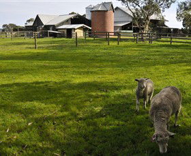 Warrook Farm - Tourism Gold Coast 4