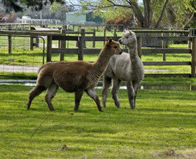 Warrook Farm - Tourism Gold Coast 6