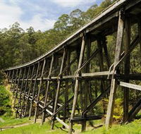 Noojee Trestle Bridge - Tourism Gold Coast