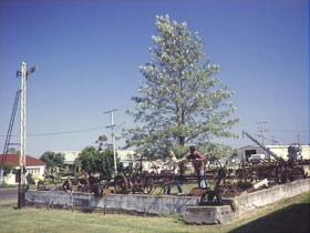 Clifton Historical Museum - Tourism Gold Coast 1