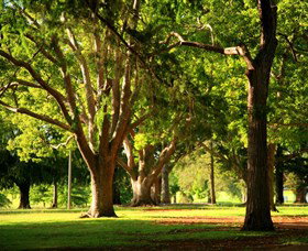Queens Park, Toowoomba - Gold Coast 1