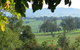 Brandy Creek Wines & View Cafe - thumb 5
