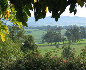 Brandy Creek Wines & View Cafe - Tourism Gold Coast 5
