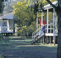 Dryandra Woodland - Tourism Gold Coast
