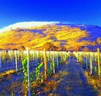 Surveyors Hill Winery - Tourism Gold Coast