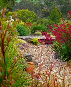 Ungulla Country Garden - Tourism Gold Coast 1