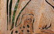 Ungulla Country Garden - thumb 5