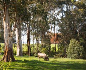 Ungulla Country Garden - Tourism Gold Coast 8
