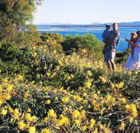 Joseph Banks Conservation Park - Tourism Gold Coast
