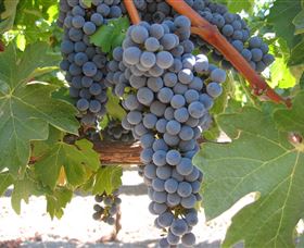Joshuas Fault Wine - Tourism Gold Coast 0