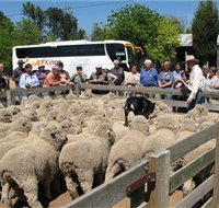 Gold Creek Station - Tourism Gold Coast