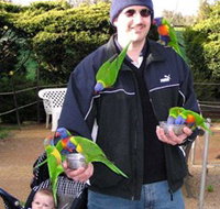 Canberra Walk In Aviary - Tourism Gold Coast