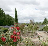 Crystal Brook Lavender Farm - Tourism Gold Coast