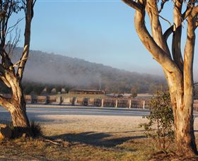 Savina Lane Premum Wines - Tourism Gold Coast 0
