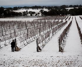 Savina Lane Premum Wines - Tourism Gold Coast 2