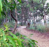 Mount Mutton Walking Trail - Gold Coast