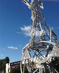 Australian Institute Of Sport (AIS) - Tourism Gold Coast 0