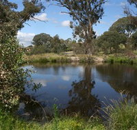 Cooleman Ridge - Tourism Gold Coast