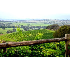 Hollydene Estate Wines And Vines Restaurant - Tourism Gold Coast 2