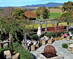Hollydene Estate Wines And Vines Restaurant - Tourism Gold Coast 8