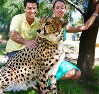 National Zoo  Aquarium - Tourism Gold Coast