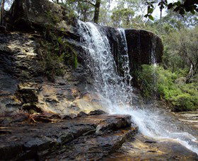 Spirit Safaris - Tourism Gold Coast 1