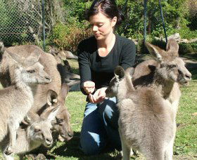 Canons Shuttles Day Tours - Tourism Gold Coast 0
