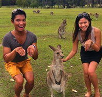 Runaway Tours - Tourism Gold Coast