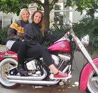 Wild Ride Harley and Motorcycle Tours - Tourism Gold Coast