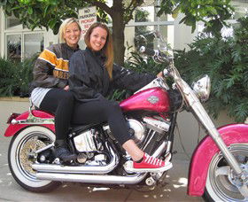 Wild Ride Harley And Motorcycle Tours - Tourism Gold Coast 0