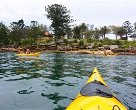 Lifes An Adventure - Tourism Gold Coast 3