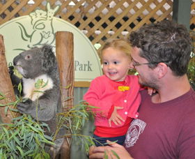 Blue Diamond Tours - Tourism Gold Coast 0