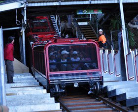 FJ Tours - Tourism Gold Coast 2