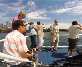 H2O Maxi Taxis - Tourism Gold Coast 2