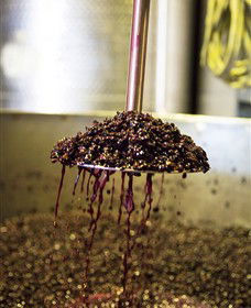 Quealy Winemakers - Gold Coast 6