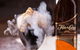 Eau De Vie - thumb 5