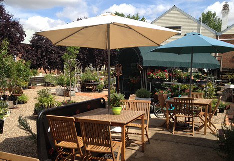 Mayfield Mews - Gold Coast 0