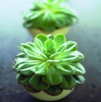 Crossroads Homemaker Centre - Tourism Gold Coast 1