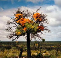 The Delmar Gallery - Tourism Gold Coast