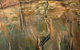 Annette Larkin Fine Art - thumb 2