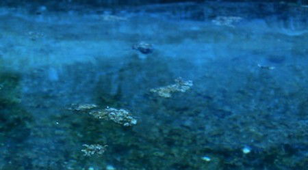 Anna Schwartz Gallery Sydney - Tourism Gold Coast 2