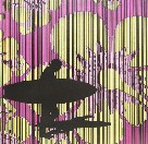 Iain Dawson Gallery - Tourism Gold Coast 2