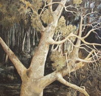 Ku-Ring-Gai Art Centre  Gallery - Gold Coast