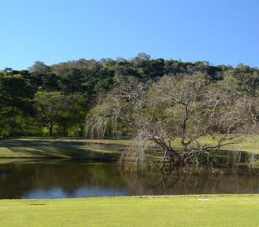 Antill Park Country Golf Club - Tourism Gold Coast 1