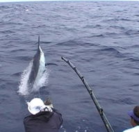 Amokura Charters - Tourism Gold Coast