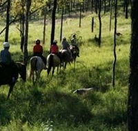 Hunter Valley Horse Riding and Adventures - Tourism Gold Coast