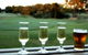 Newcastle Golf Club - thumb 1