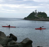 Newcastle Kayak Tours - Tourism Gold Coast