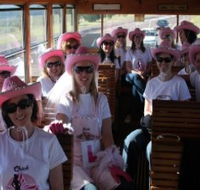 Newcastles Famous Tram - Tourism Gold Coast