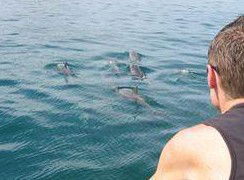 Tex Tours - Tourism Gold Coast 3